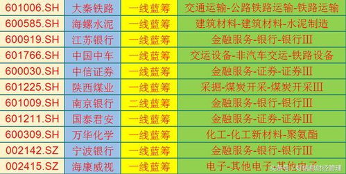 三明市布料纺织品批发市场一览表