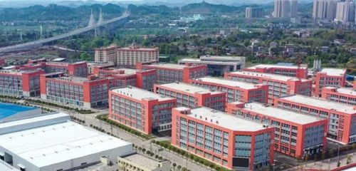 渠县东门纺织厂