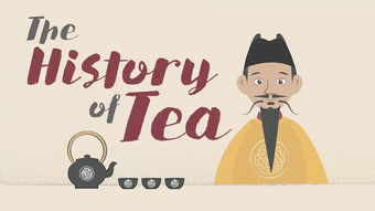 The Story of Tengxiang Textiles