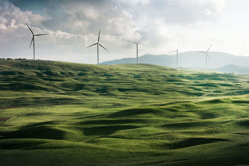 The Dynamics of Cao Household Textile Factory:Innovation and Sustainability