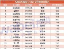 纺织厂CFO评价报告