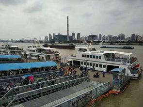 Exploring the Future of Textile Innovation with Fenghui Textile Factory