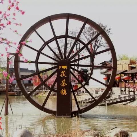 彩羊家用纺织品，时尚与实用的完美结合