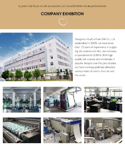 The Story of Shandais Maisa Textile Company