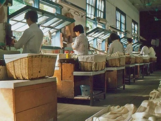 The Story of the江南蚕桑纺织厂