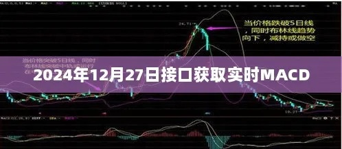 日期，XXXX年XX月XX日