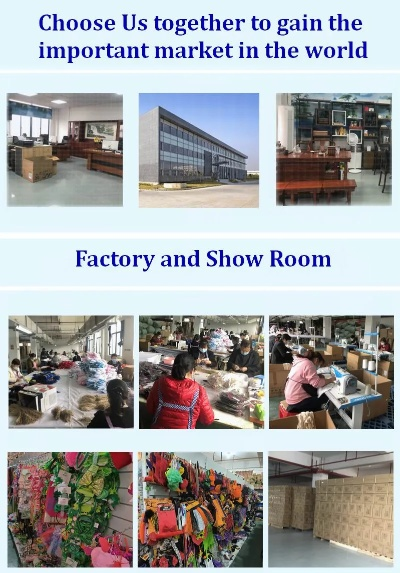 The Story of the Four Diversified Textiles Factory