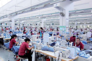 Dragonwell Medical Textile Factory:A Journey from Innovation to Quality