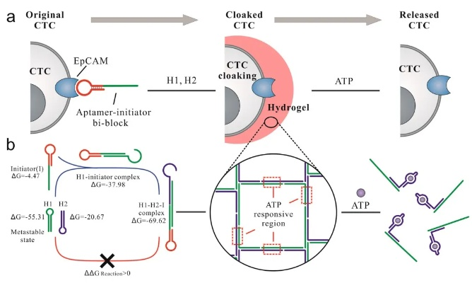The Testing of Textiles for Nucleic Acid