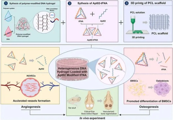 The Testing of Textiles for Nucleic Acid