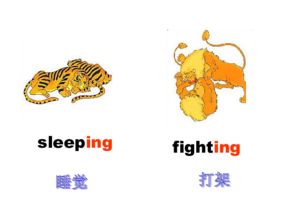 A Comprehensive Look at Imported Fabrics and Their Price in Jilin
