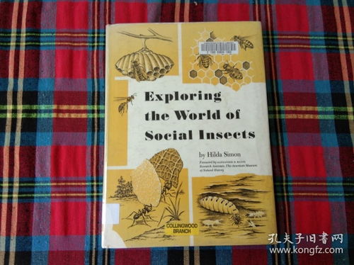Exploring the World of Japanese Textile Finishes and Additives
