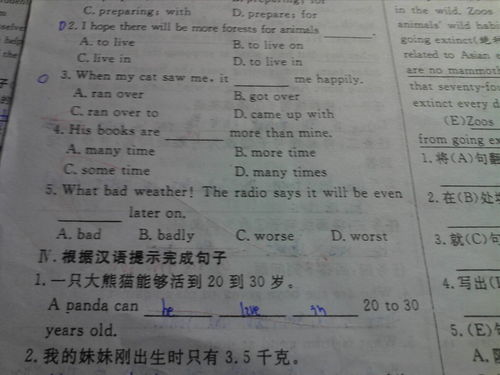 English Title: