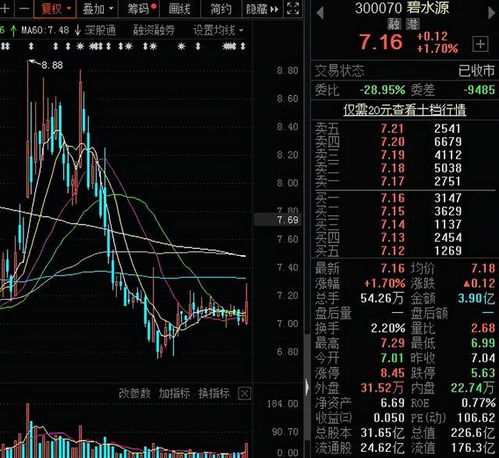 纺织厂股票龙头，案例分析与投资策略