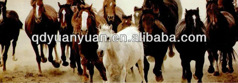The Dynamics of the Three Horses Textile Industry in China