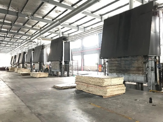 The Evolution of Zhejiang Oak Tree Textile Factory