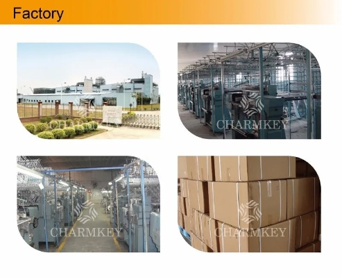 The Evolution of Zhejiang Oak Tree Textile Factory