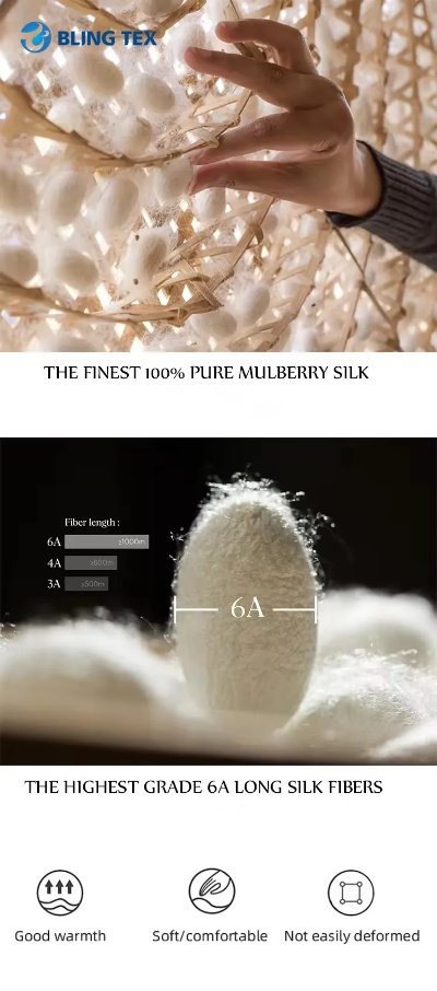 Repurposing Silk Fibers:A Sustainable Approach to Transforming Textile Waste