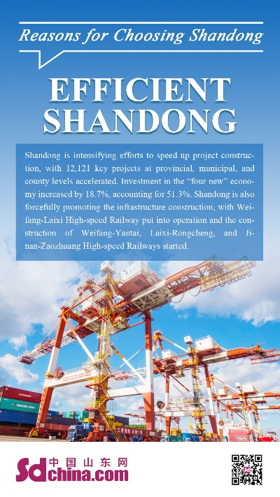 Common Threads and Needlegoods Troubleshooting Techniques in Shandong