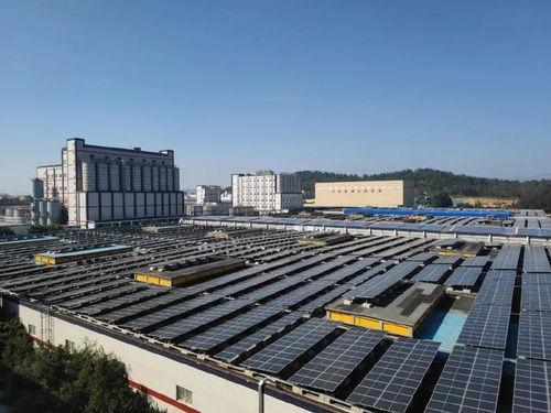 全国生态纺织品中心，引领绿色纺织新潮流