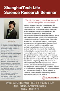 The Sensory Experience of Textiles