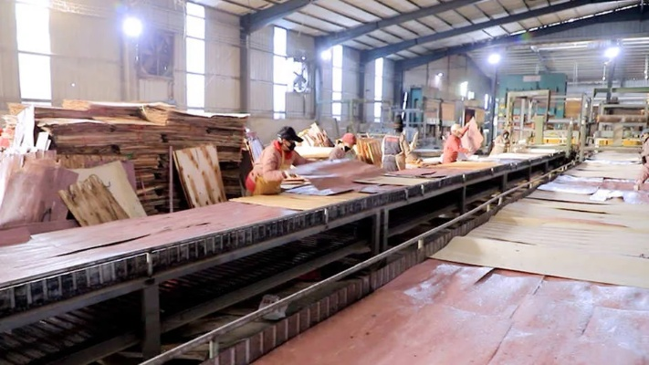 The Story of Linhai Dafeng Textile Factory
