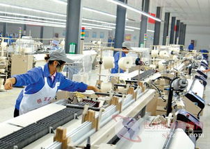 内蒙古针纺织品批发市场概览