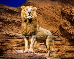 Exploring the Ten Top Textiles of Stone Lions An Illustrative Journey