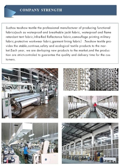 The Impact of Textile Fiber Disparities on the Fashion Industry