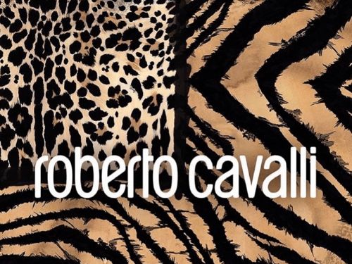The Luxury of LV Textile Coats