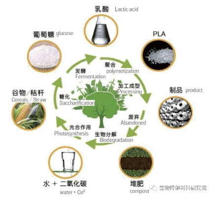 壳聚糖类纺织品，绿色环保与健康舒适的新选择