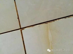 洗涤纺织品油漆笔的方法