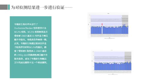 ATID纺织品洗涤应用案例分析