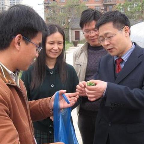 徐州绿色纺织品，生态纺织的魅力与案例