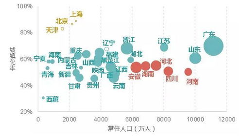 中大东晓南纺织品的多元化与全球市场拓展策略