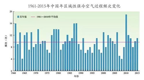 中大东晓南纺织品的多元化与全球市场拓展策略