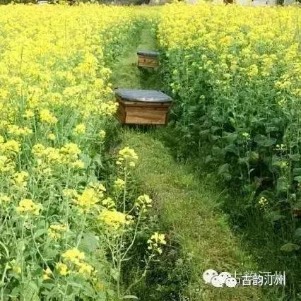 南国纺织厂长汀纺织厂招聘启事