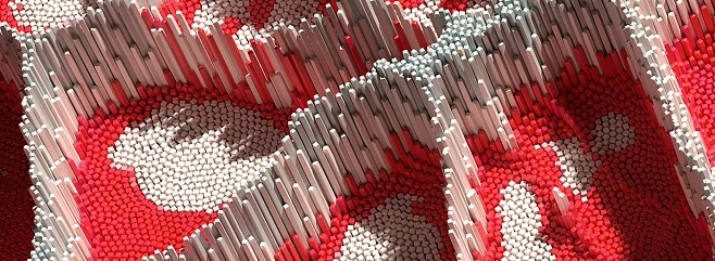 The Art and Commerce of Textile Processing and Trade