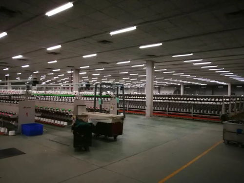 尘山毛纺织厂与前纺织厂，纺织业的变迁与未来展望