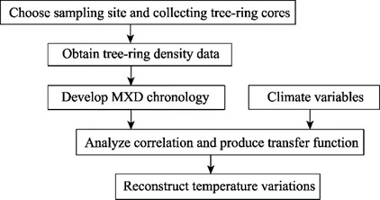 The Dynamics of Dongsheng Wool Textiles:A Global Overview and Case Study