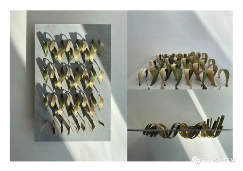 生物纺织品制作过程详解