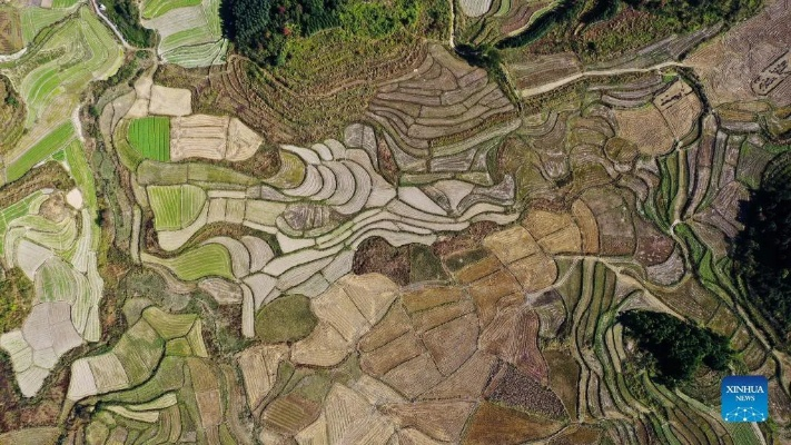 Exploring the Industrial Legacy of Dongxing County,China