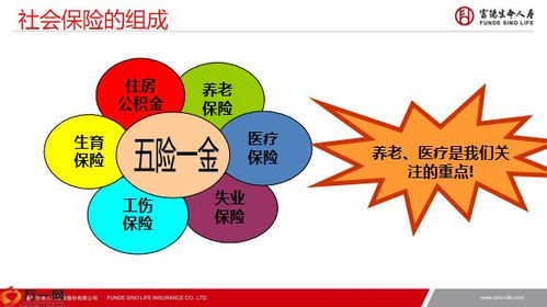 纺织品做品牌，优势与案例分析