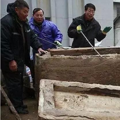 金蚕丝纺织品图片与案例分析