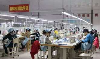 欧洲纺织品厂工作体验