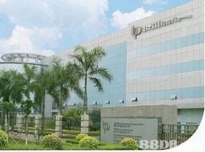 The High-Volume Manufacturer of Needlework Textiles in Hubei at Wholesale Prices