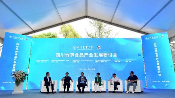 纺织厂与电子厂，融合创新与绿色发展的未来篇章