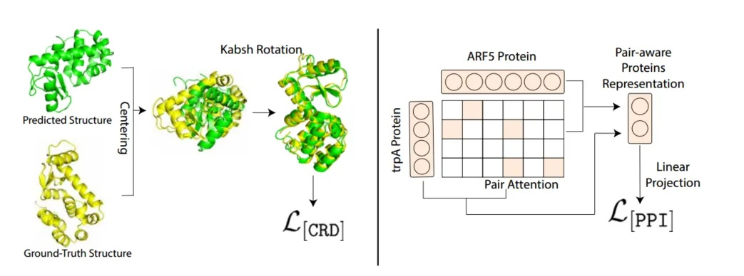 The Multifaceted Impact of P Protein)in Textiles