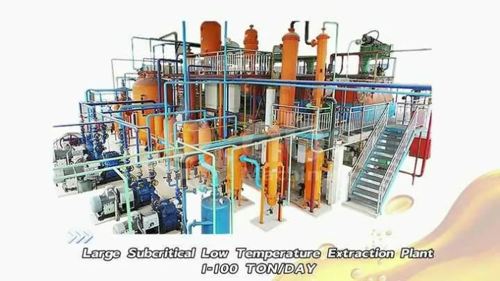 The Dynamics of Shandong Chemical Fiber and Textile Factory