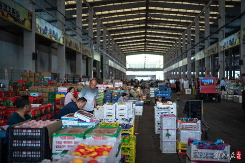 天津市纺织品批发市场价格概览